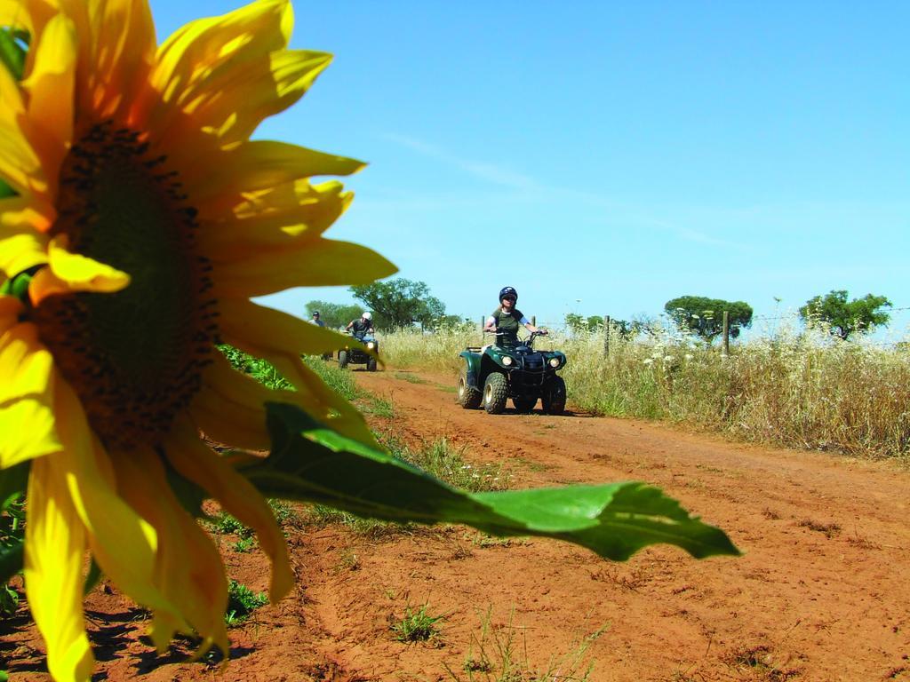 Vila Gale Alentejo Vineyard - Clube De Campo Albernoa Εξωτερικό φωτογραφία