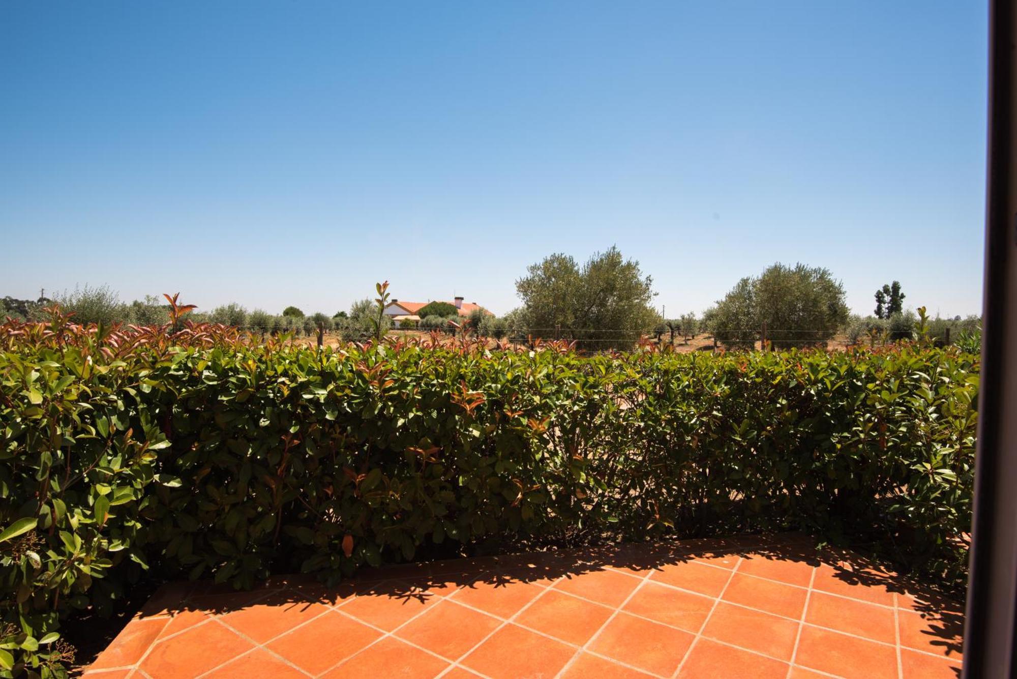 Vila Gale Alentejo Vineyard - Clube De Campo Albernoa Εξωτερικό φωτογραφία