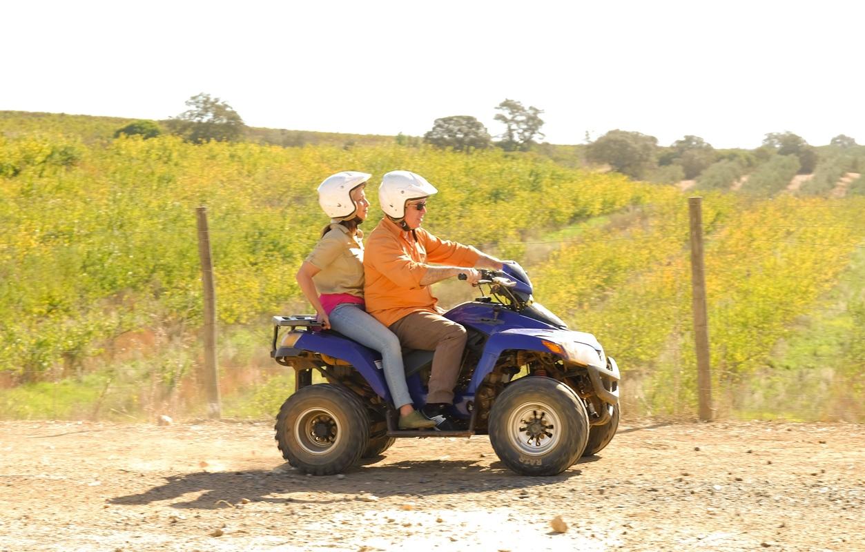 Vila Gale Alentejo Vineyard - Clube De Campo Albernoa Εξωτερικό φωτογραφία