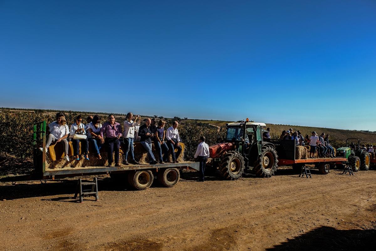 Vila Gale Alentejo Vineyard - Clube De Campo Albernoa Εξωτερικό φωτογραφία