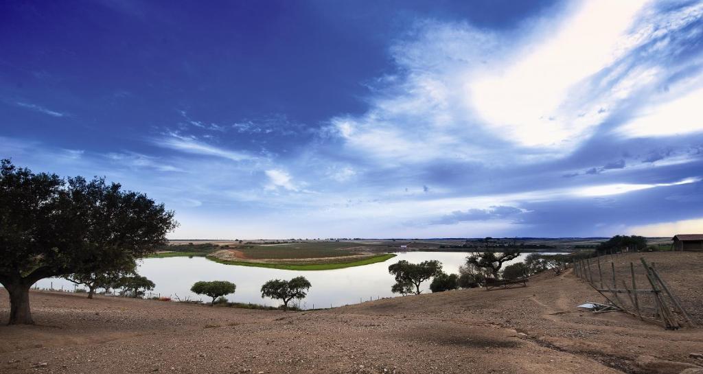 Vila Gale Alentejo Vineyard - Clube De Campo Albernoa Εξωτερικό φωτογραφία