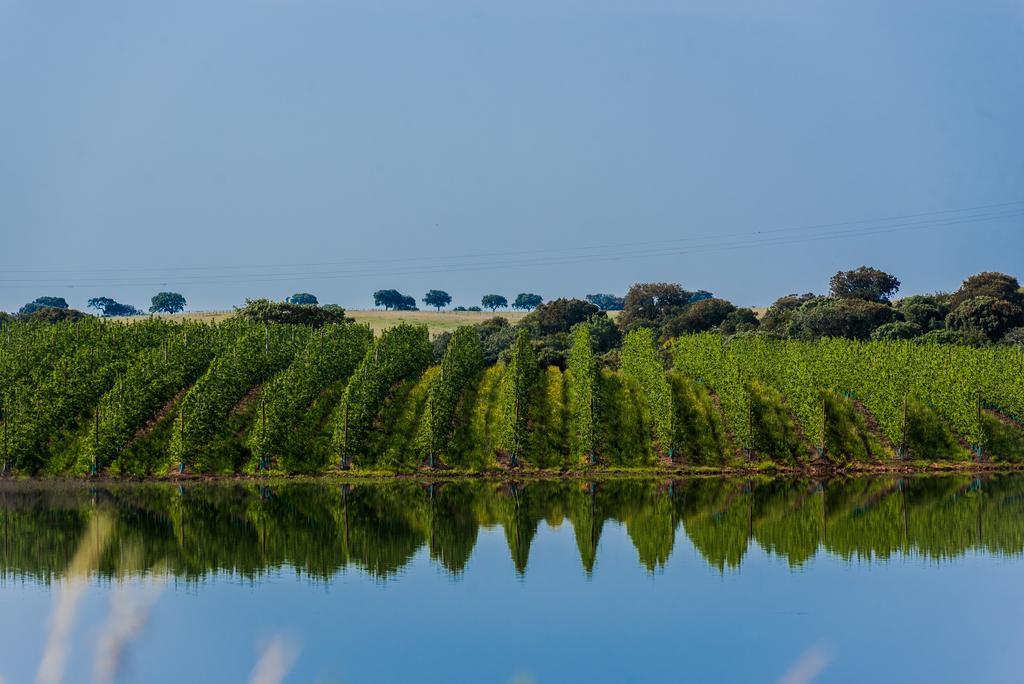 Vila Gale Alentejo Vineyard - Clube De Campo Albernoa Εξωτερικό φωτογραφία